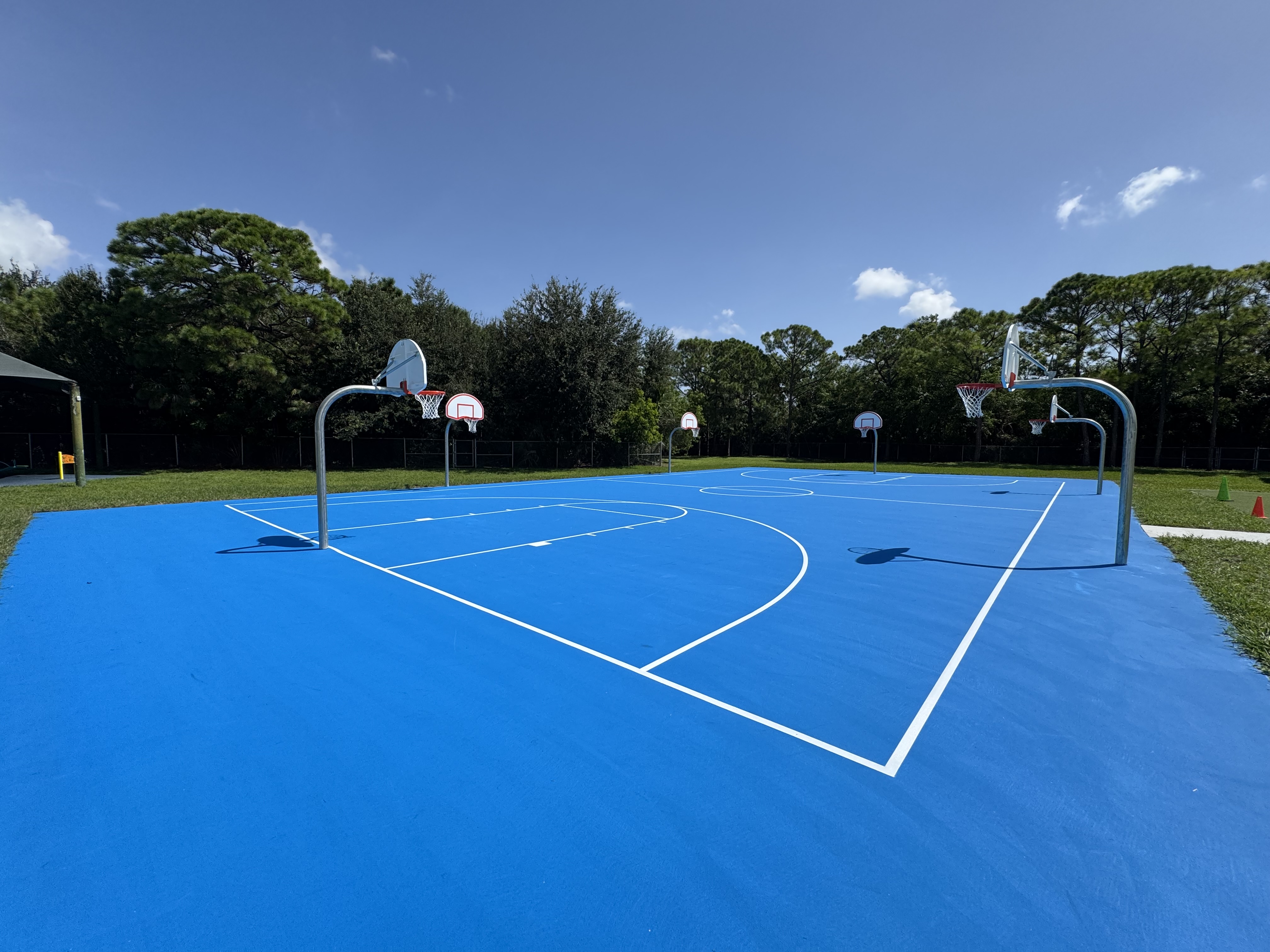 Bright blue basketball court surrounded by trees